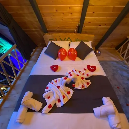 Chalet Elva Çamlıhemşin